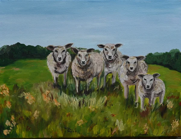 Handgemaltes Gemälde „Schafe auf Texel“ – Öl auf Leinwand, 30 × 40 cm von Manuela Schenk