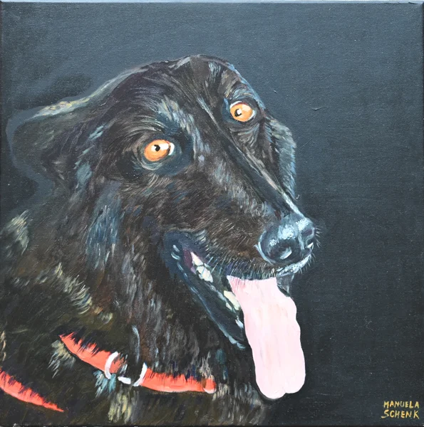 Handgemaltes Gemälde „Balou – Hundeportrait in Öl“ – Öl auf Leinwand, 40 × 40 cm von Manuela Schenk