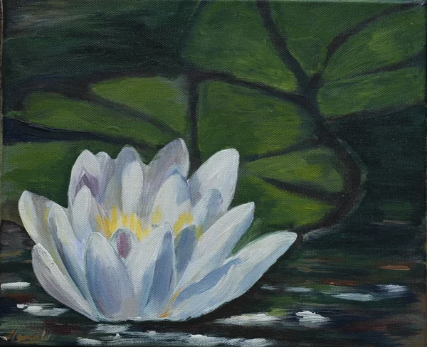 Handgemaltes Gemälde „Seerose im Botanischen Garten Bonn“ – Öl auf Leinwand, 18 × 24 cm von Manuela Schenk